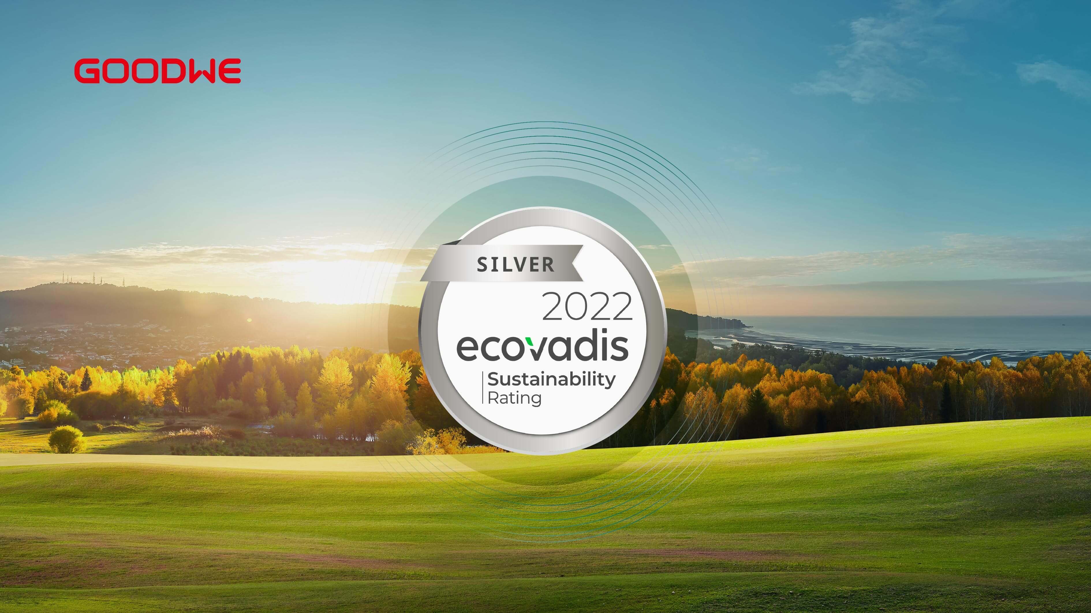 GoodWe_EcoVadisNL.jpg